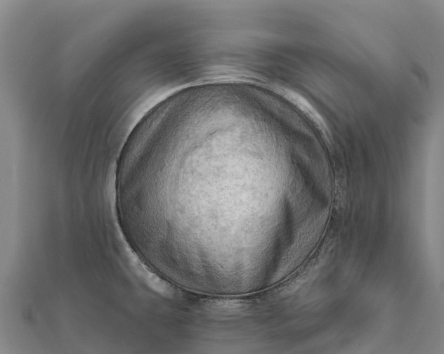X0000112101431200908181315