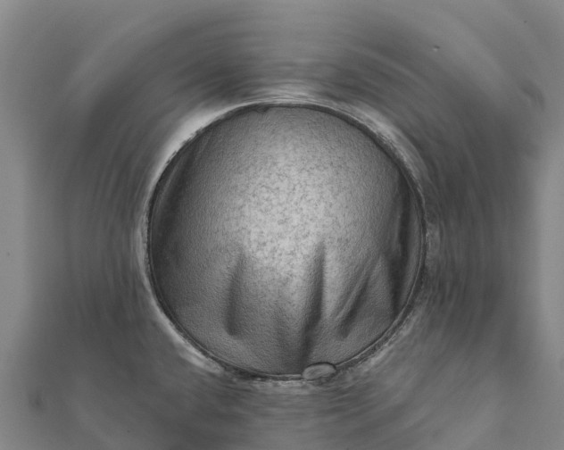 X0000112101432200908181315