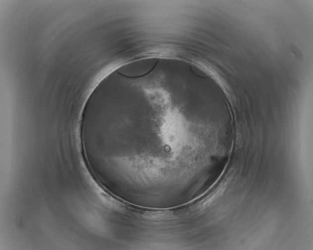 X0000112101434200908181315