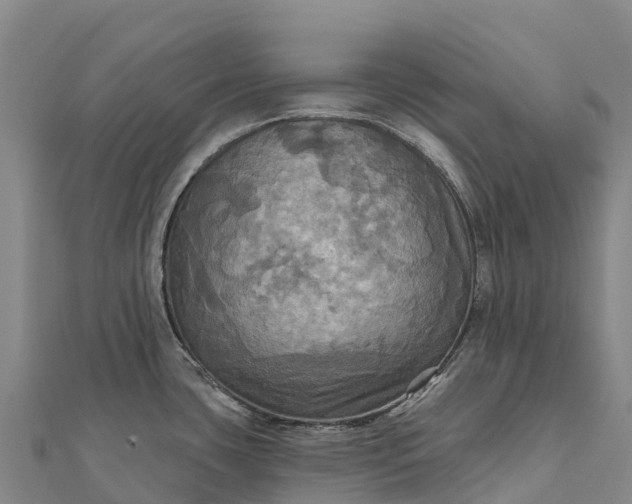 X0000112101435200908181315