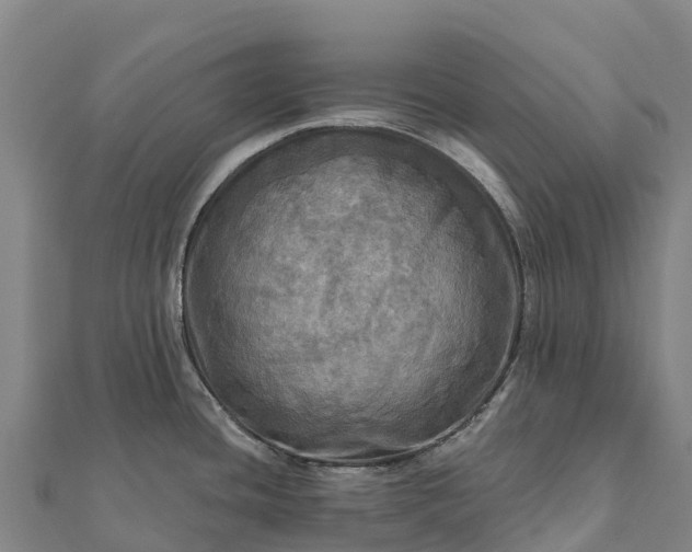 X0000112101436200908181315