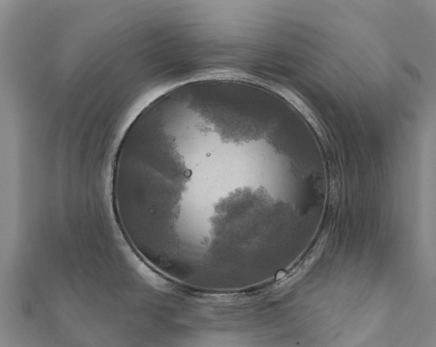 X0000112101438200908181315