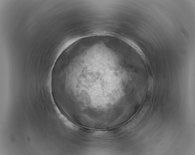 X0000112101439200908181315