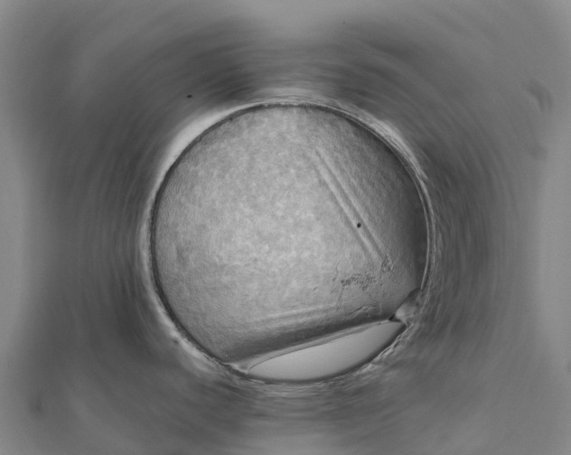 X0000112101440200908181315