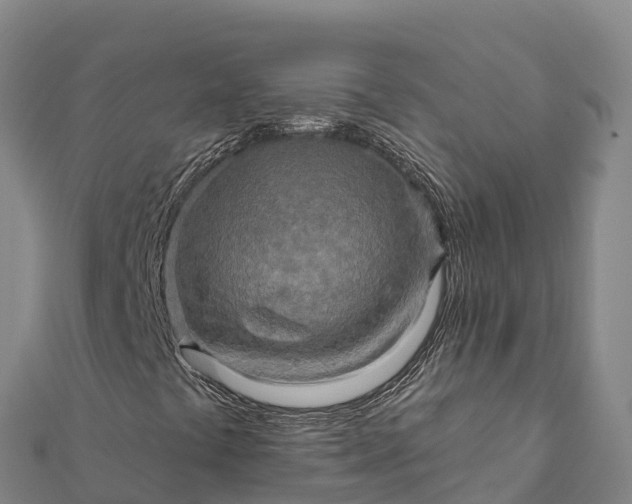 X0000112101441200908181315
