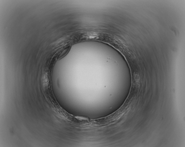 X0000112101442200908181315