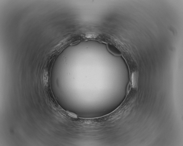 X0000112101443200908181315