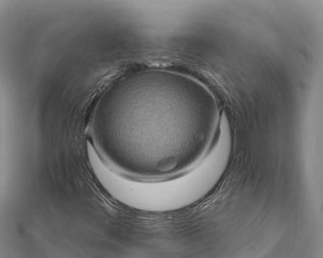 X0000112101444200908181315