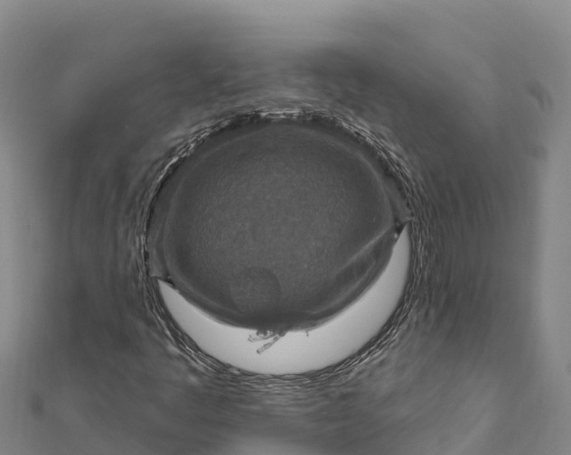 X0000112101445200908181315