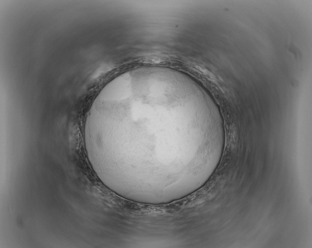 X0000112101446200908181315