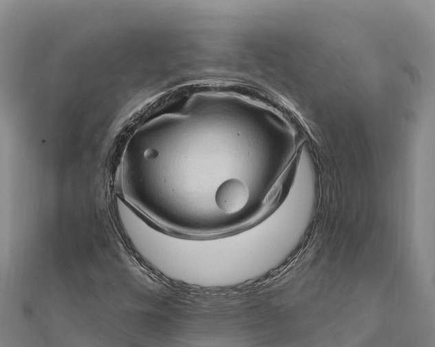 X0000112101448200908181315