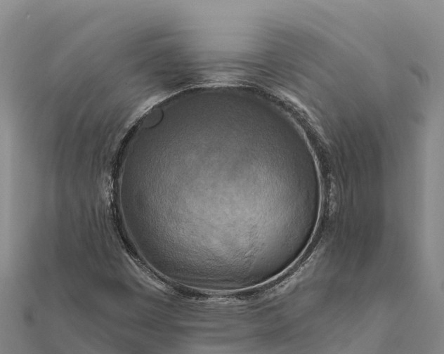 X0000112101449200908181315
