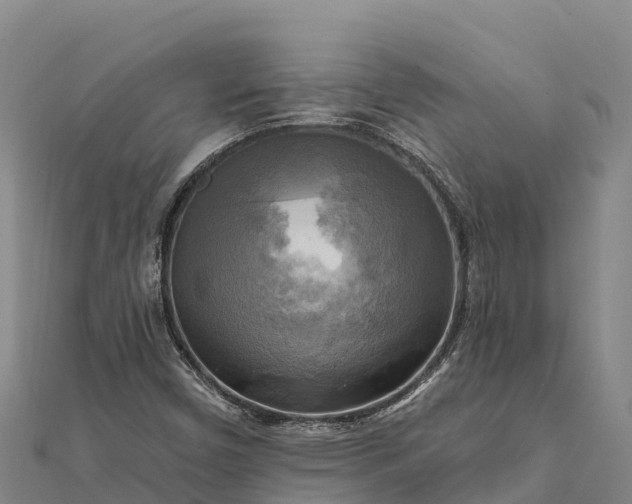 X0000112101450200908181315