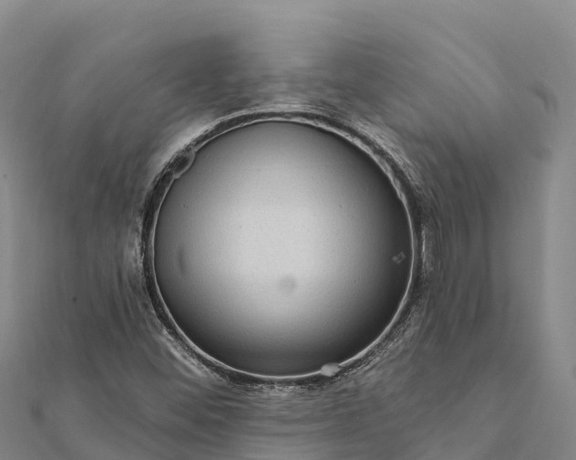 X0000112101452200908181315