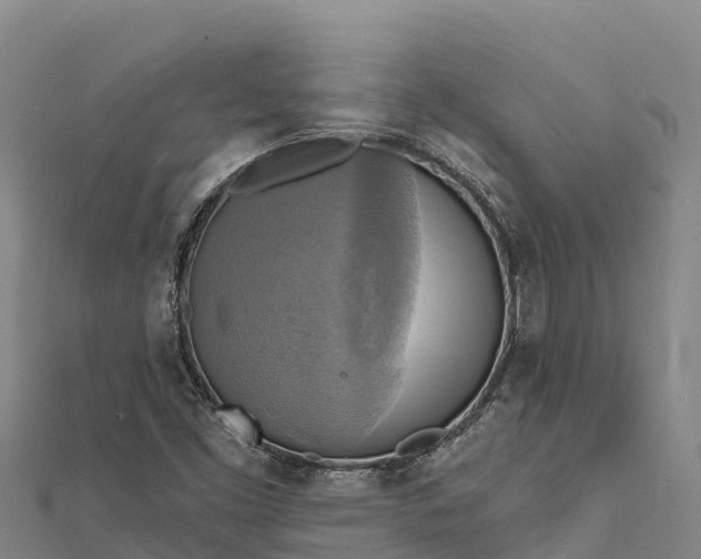 X0000112101453200908181315