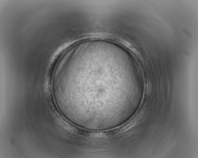 X0000112101454200908181315