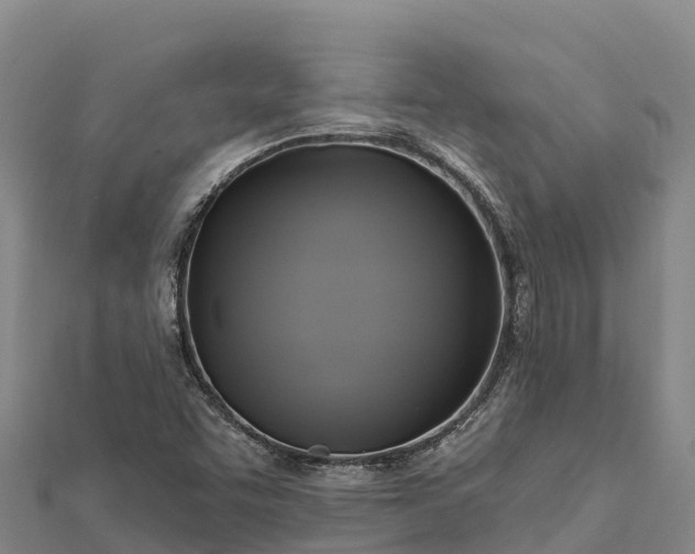 X0000112101455200908181314