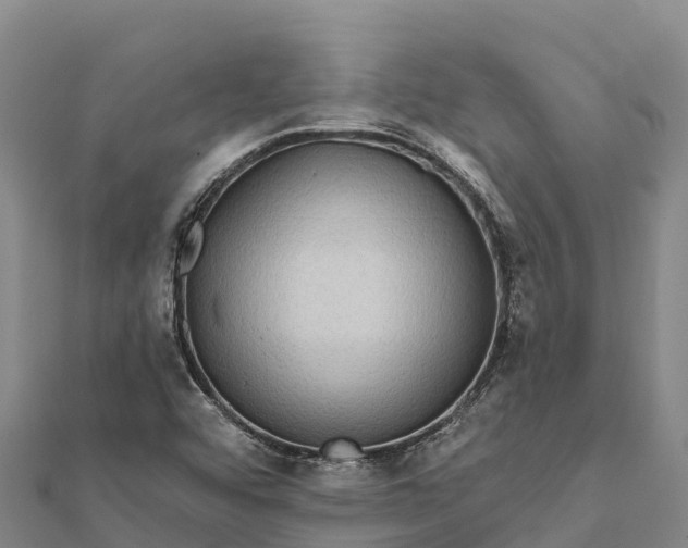 X0000112101456200908181314