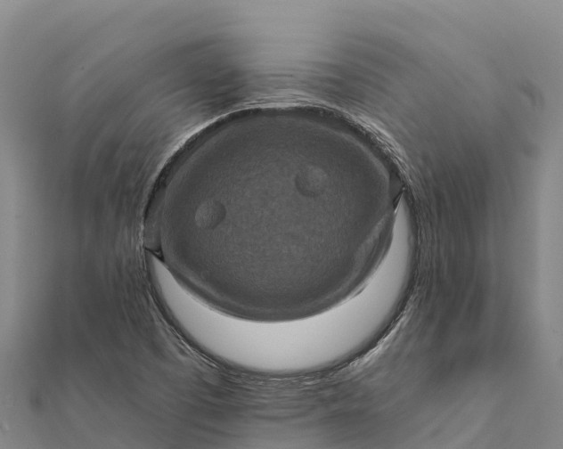 X0000112101457200908181314