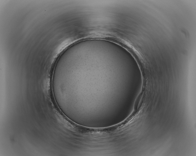 X0000112101459200908181314