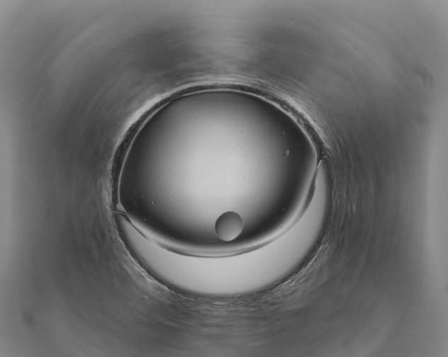 X0000112101460200908181314