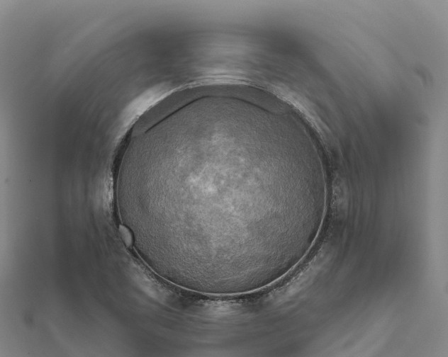 X0000112101461200908181314