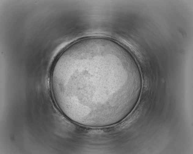 X0000112101462200908181314