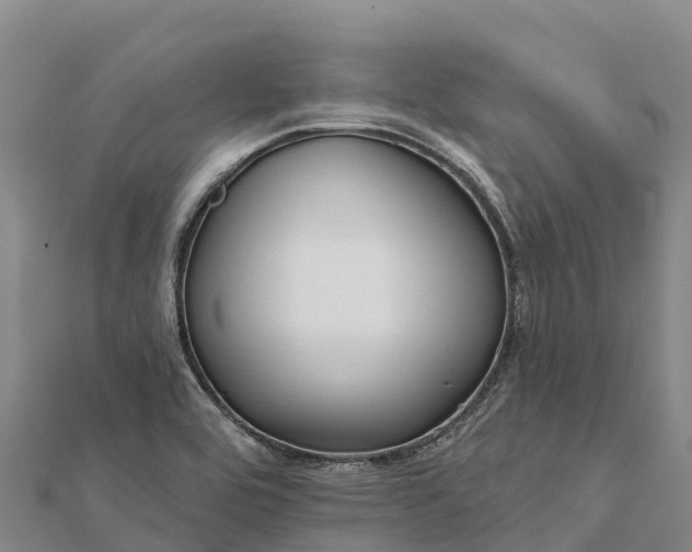 X0000112101464200908181314