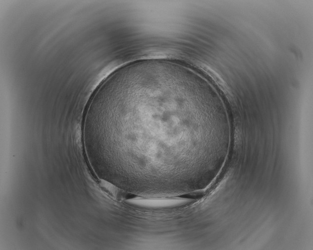 X0000112101465200908181314