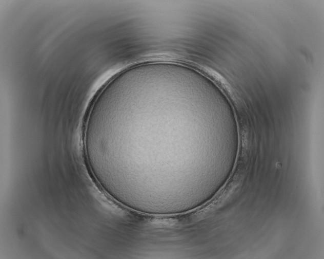 X0000112101466200908181314