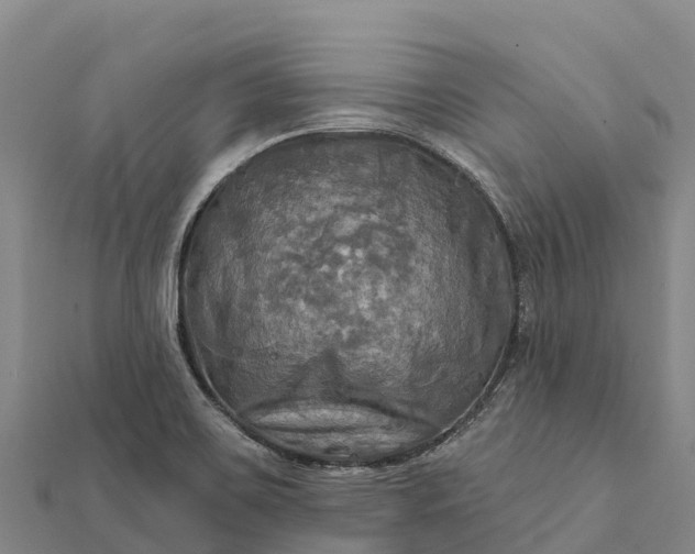 X0000112101467200908181314