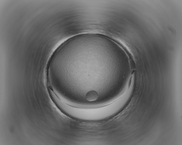 X0000112101468200908181314