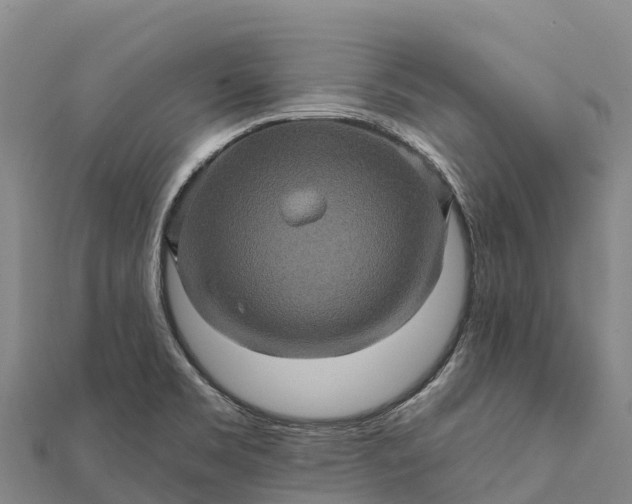 X0000112101469200908181314