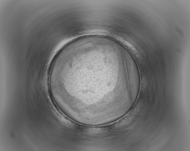 X0000112101470200908181314