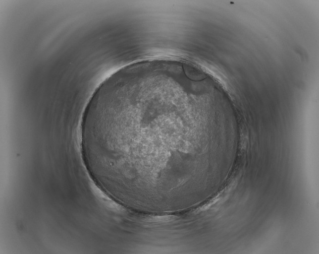 X0000112101471200908181314