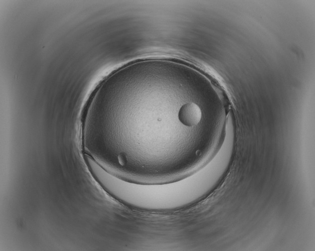X0000112101472200908181314