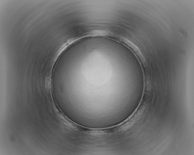 X0000112101473200908181314