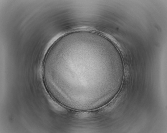X0000112101474200908181314