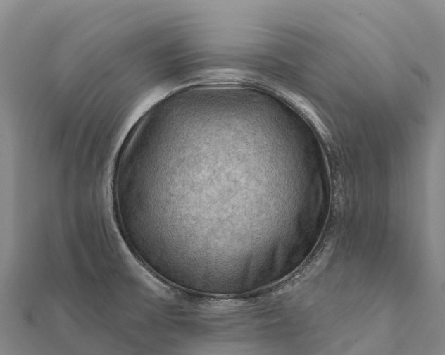 X0000112101475200908181314