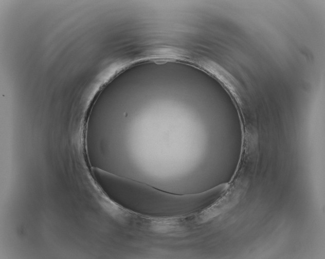 X0000112101477200908181314