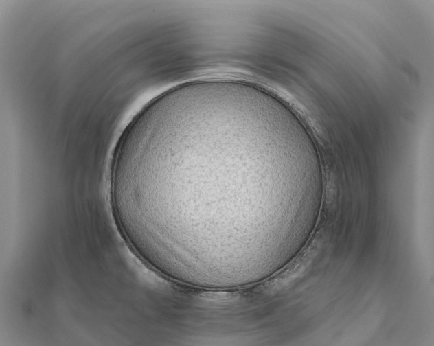 X0000112101478200908181314