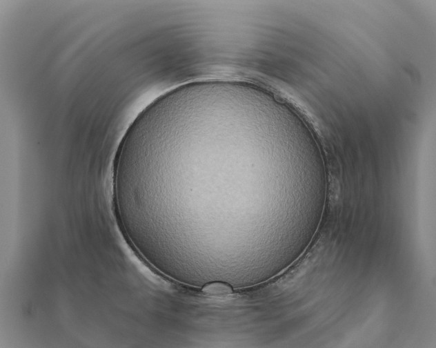 X0000112101479200908181314