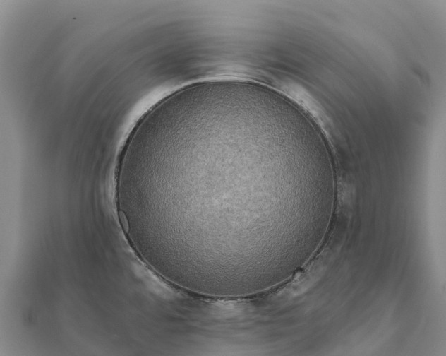 X0000112101480200908181314