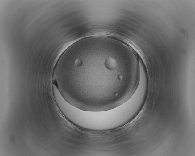 X0000112101481200908181314