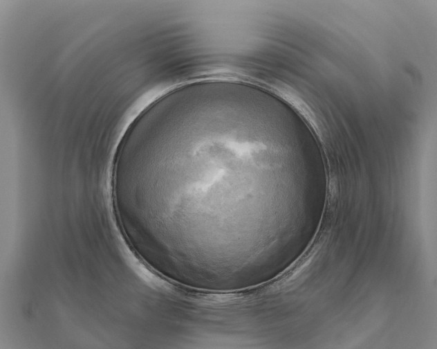 X0000112101482200908181314