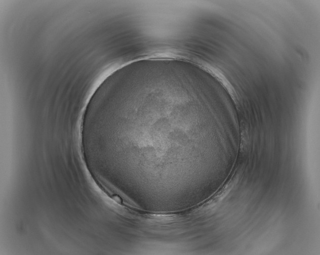 X0000112101483200908181314