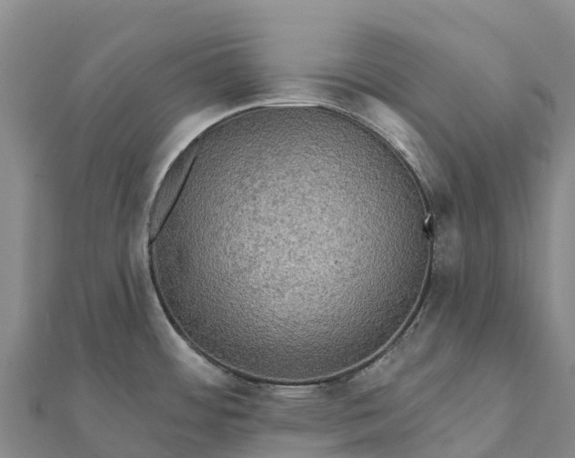 X0000112101484200908181314