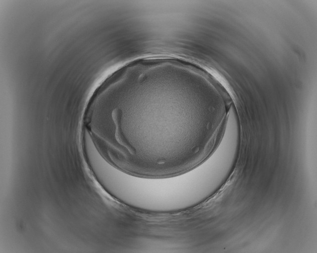X0000112101485200908181314