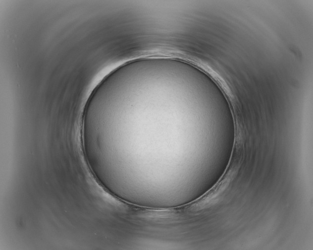 X0000112101486200908181314