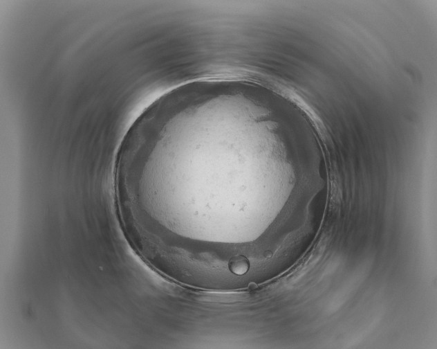 X0000112101487200908181314